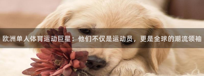 上海意昂5汽车电子有限公司：欧洲单人体育运动巨星：他们不仅是运动员，更是全球的潮