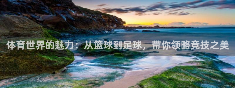 意昂体育官网登录：体育世界的魅力：从篮球到足球，带你领略竞技之美
