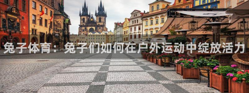 意昂扬是什么意思：兔子体育：兔子们如何在户外运动中绽放活力