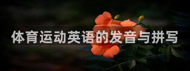 意昂55招商：体育运动英语的发音与拼写