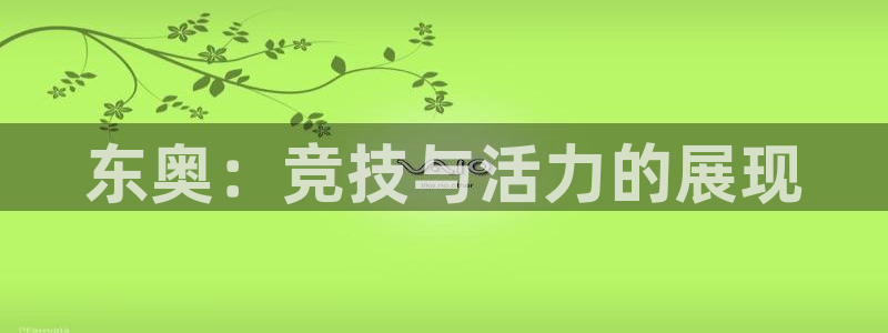 意昂5体育：东奥：竞技与活力的展现