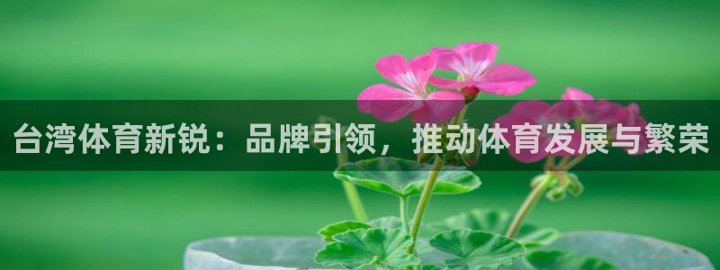 意昂5体育平台注册：台湾体育新锐：品牌引领，推动体育发展与繁荣