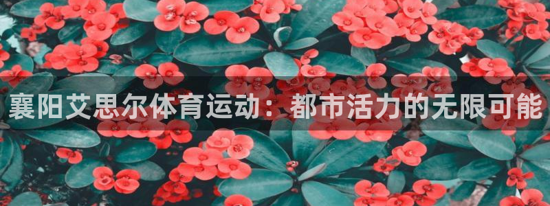 意昂5体育2官网入口：襄阳艾思尔体育运动：都市活力的无限可能