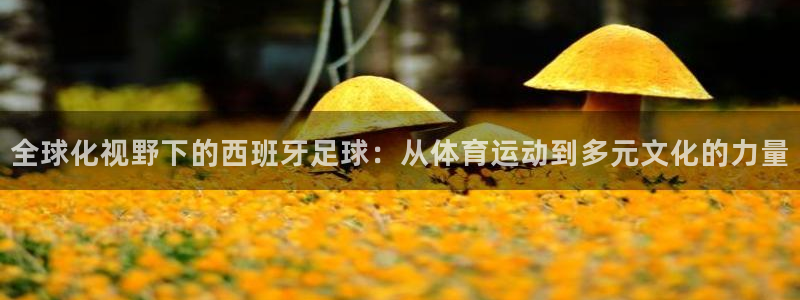 意昂53代理：全球化视野下的西班牙足球：从体育运动到多元文化的力量