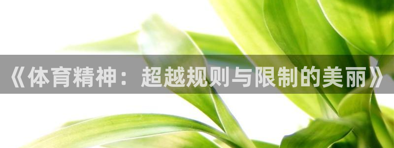 意昂总代：《体育精神：超越规则与限制的美丽》
