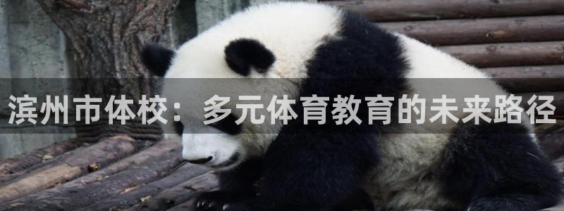 意昂52登录入口：滨州市体校：多元体育教育的未来路径