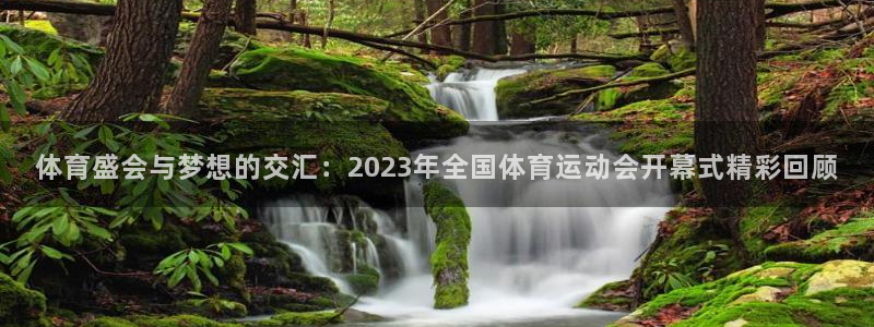 意昂53代理：体育盛会与梦想的交汇：2023年全国体育运动会开幕式精彩回顾
