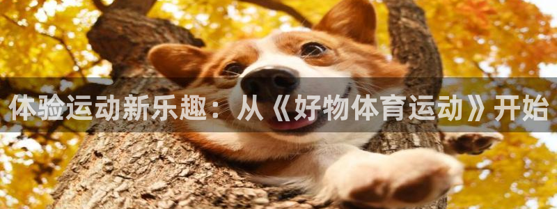 意昂5主管：体验运动新乐趣：从《好物体育运动》开始