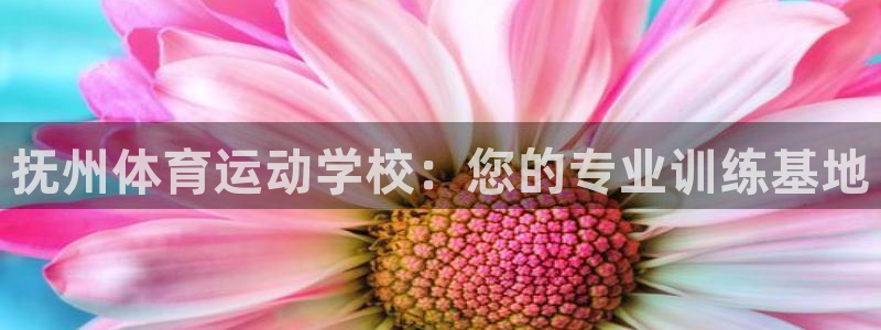 意昂3：抚州体育运动学校：您的专业训练基地
