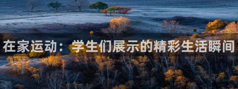 上海意昂5汽车电子有限公司：在家运动：学生们展示的精彩生活瞬间