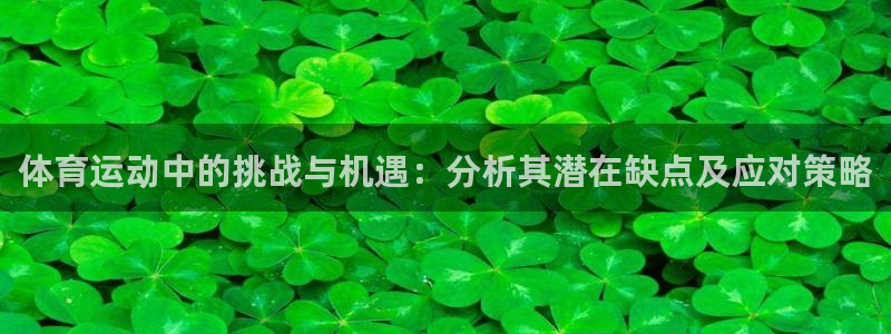 意昂5kgame：体育运动中的挑战与机遇：分析其潜在缺点及应对策略