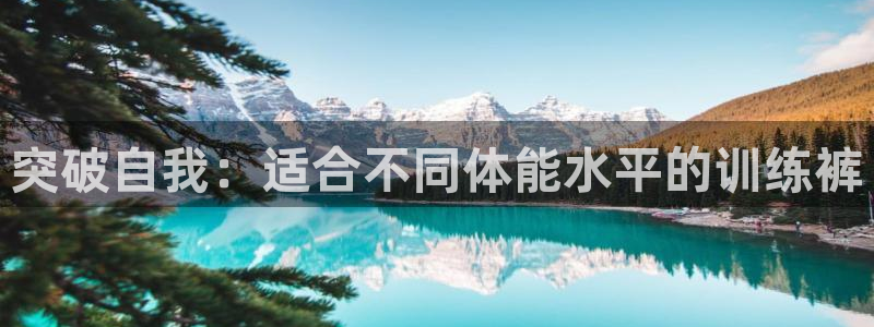意昂53登录：突破自我：适合不同体能水平的训练裤
