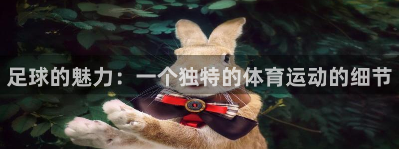 意昂55招商：足球的魅力：一个独特的体育运动的细节