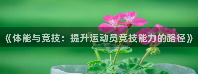 意昂3注册：《体能与竞技：提升运动员竞技能力的路径》