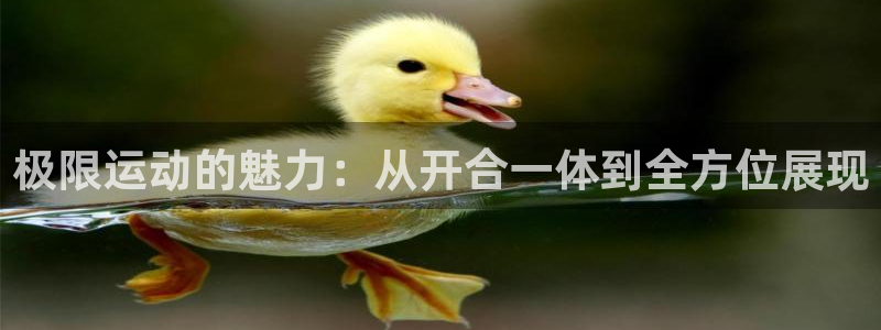 东莞市意昂5电子科技有限公司：极限运动的魅力：从开合一体到全方位展现