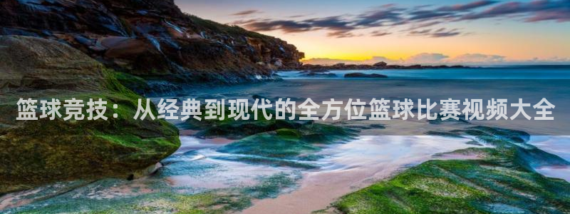 意昂3官网：篮球竞技：从经典到现代的全方位篮球比赛视频大全