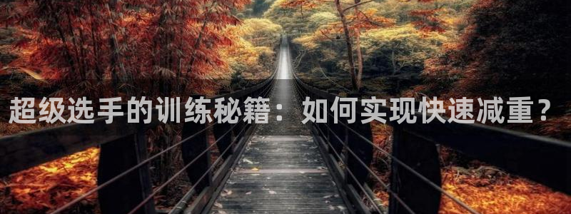 意昂52注册：超级选手的训练秘籍：如何实现快速减重？