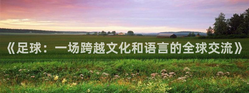 意昂招商：《足球：一场跨越文化和语言的全球交流》