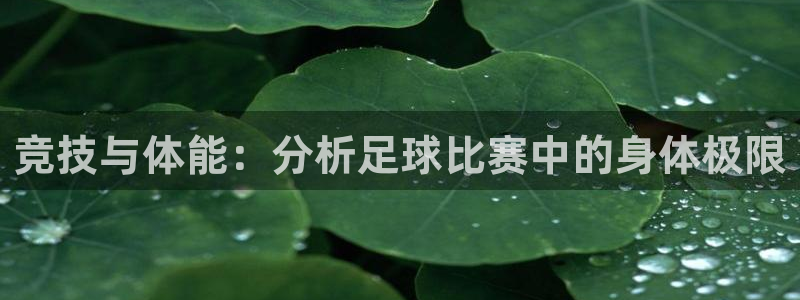 意昂5体育官网注册：竞技与体能：分析足球比赛中的身体极限