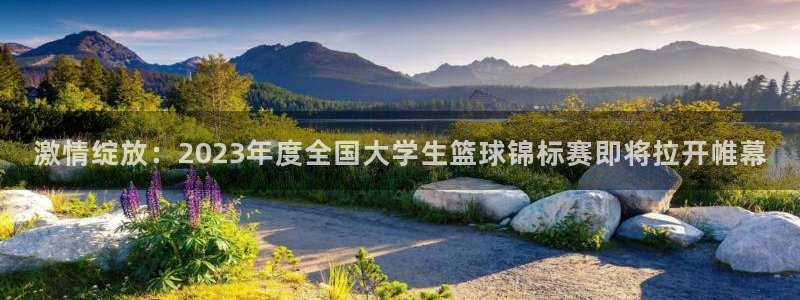 意昂5体育eon：激情绽放：2023年度全国大学生篮球锦标赛即将拉开帷幕
