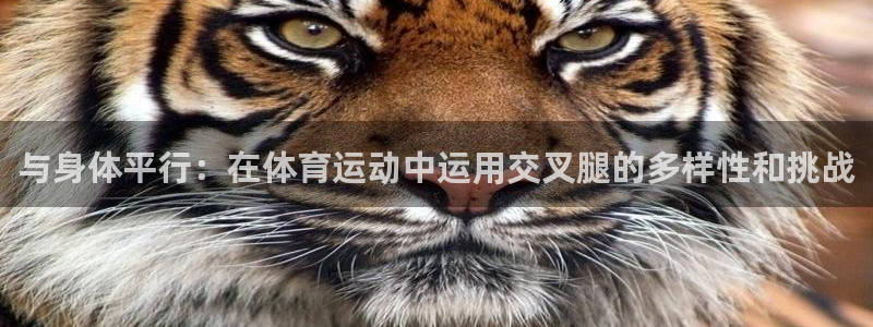 意昂平台：与身体平行：在体育运动中运用交叉腿的多样性和挑战