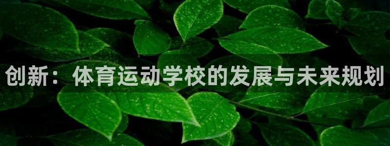 福建意昂机电股份公司：创新：体育运动学校的发展与未来规划
