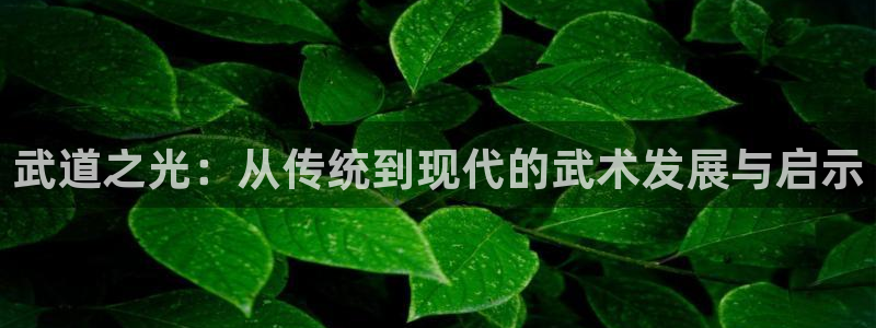 意昂：武道之光：从传统到现代的武术发展与启示