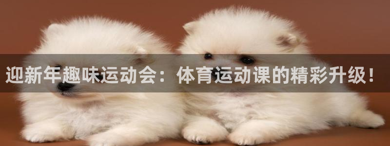 意昂5集团总部：迎新年趣味运动会：体育运动课的精彩升级！
